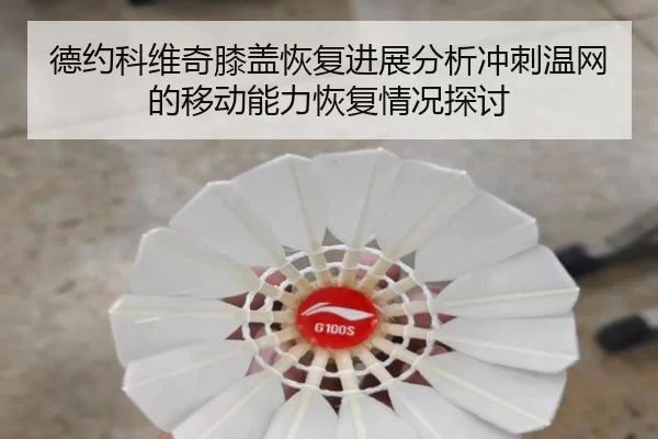 德约科维奇膝盖恢复进展分析冲刺温网的移动能力恢复情况探讨