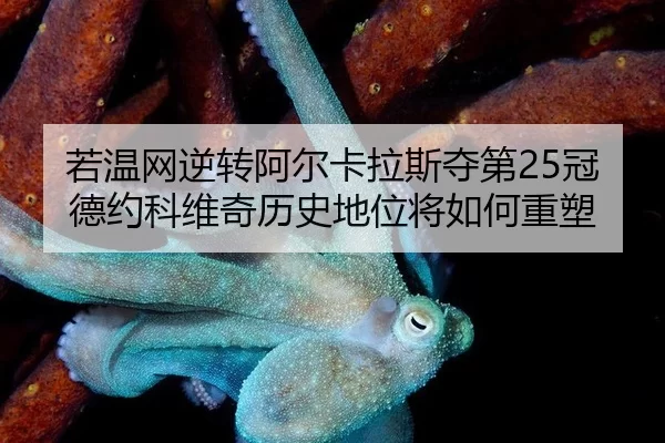 ruo-wen-wang-ni-zhuan-a-er-ka-la-si-duo-di-guan-de-yue-ke-wei-qi-li-shi-di-wei-jiang-ru-he-zhong-su-3-885.jpg