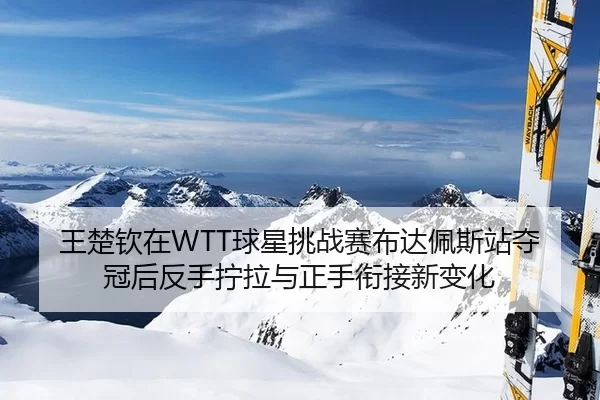王楚钦在WTT球星挑战赛布达佩斯站夺冠后反手拧拉与正手衔接新变化